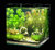 Nano Cube (nano aquarium) - Dennerle